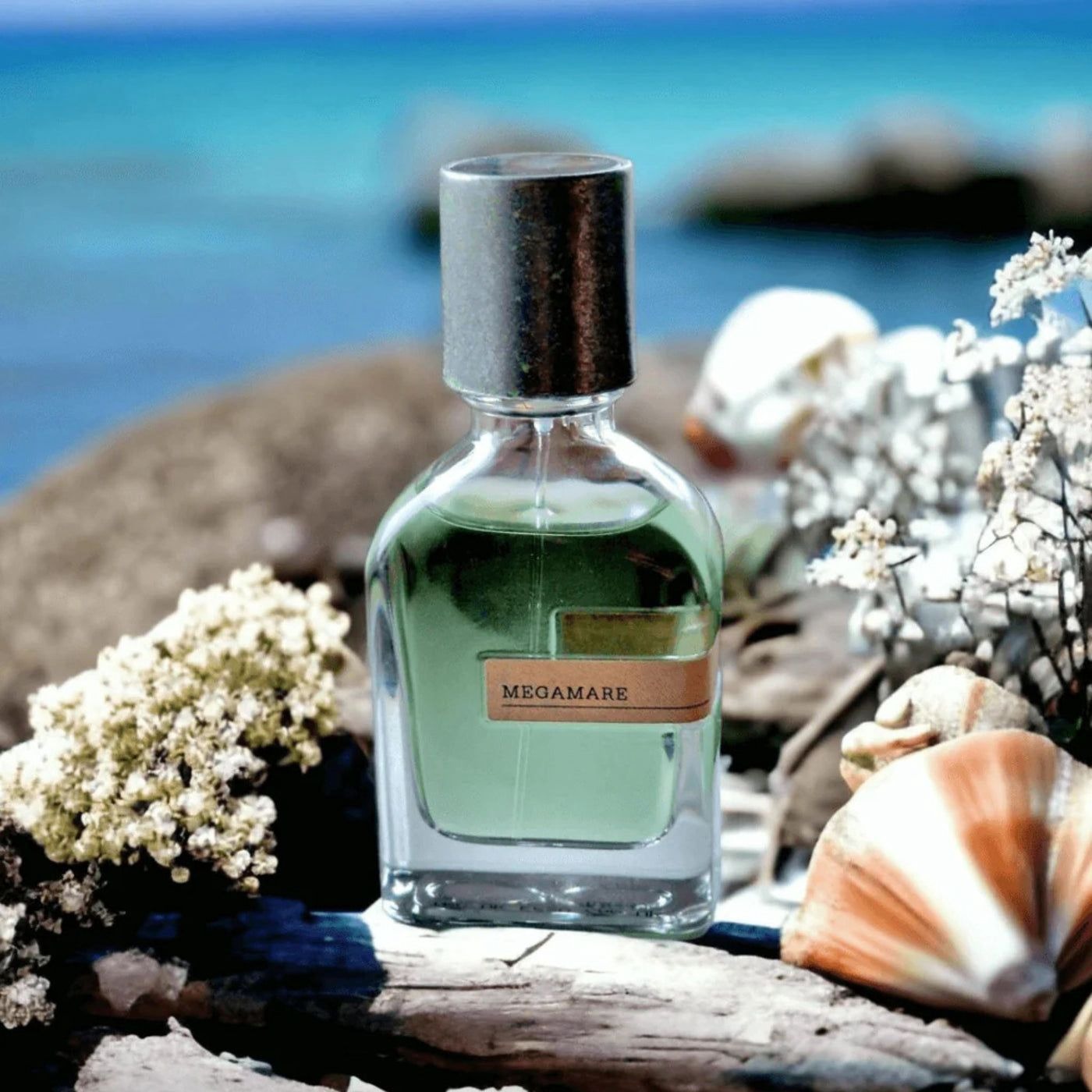 Megamare 100ml